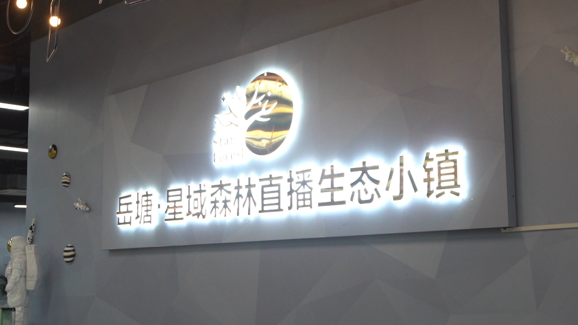 案例展示
